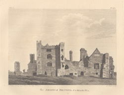 Athlumny Castle